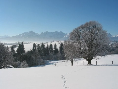 Winter mountain panorama in the Allgäu